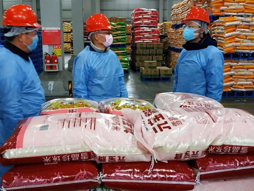 穩(wěn)價保供踐行企業(yè)社會責任,益海嘉里凸顯中國品牌擔當