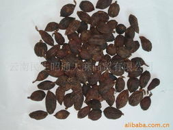 別義民油畫相關產(chǎn)品