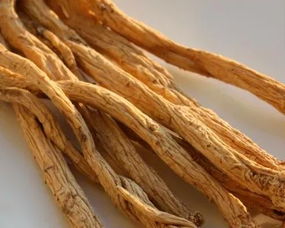 即墨古城年味濃 趕年集購隴南天麻，賞白馬人歌舞迎新春